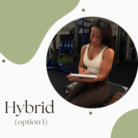 Hybrid Coaching & Training Option 1